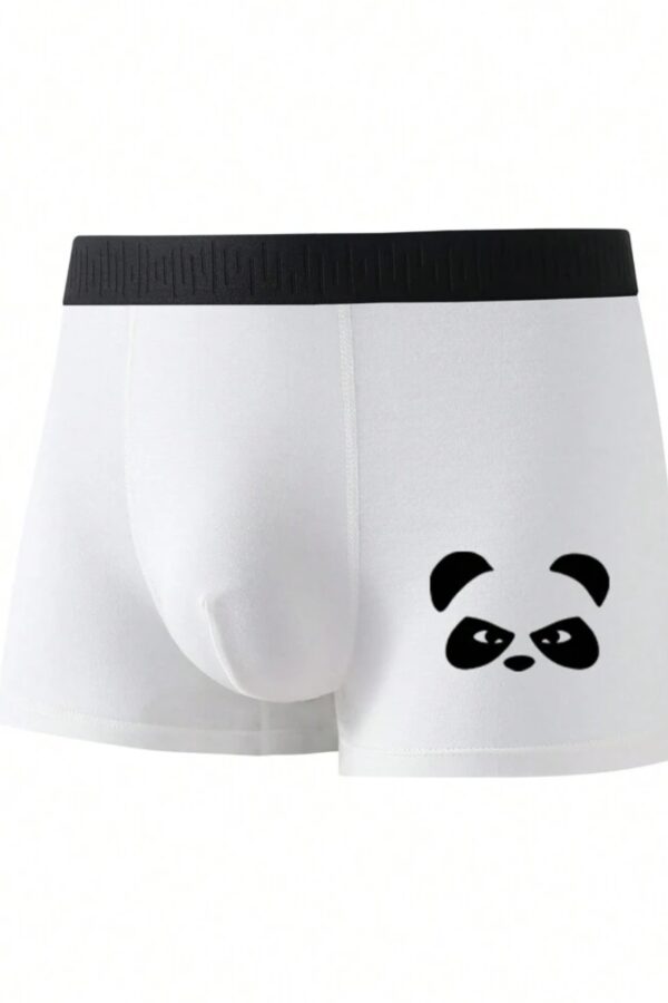 Boxer panda!