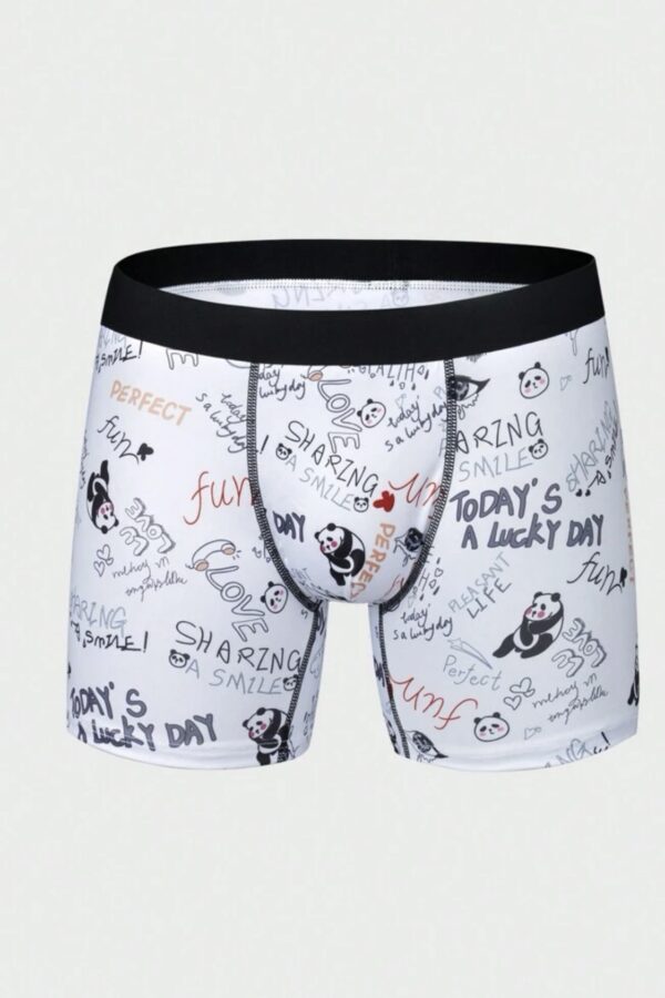Boxer love panda!